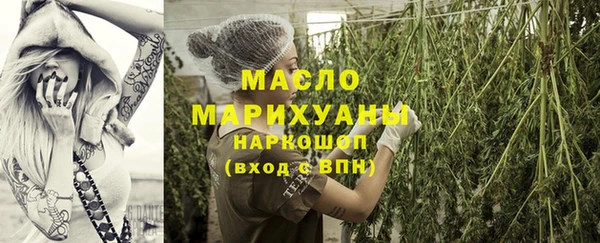 гашик Няндома